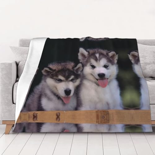 CHANGLEI Gewichtsdecke für Hunde, Flanelldecke, personalisierter Druck, weich, warm, gemütlich, vielseitige Decke für Bett, Sofa