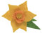 Trimits Felt Decoration Kits, 8.5 x 11.5cm, Daffodil Brooch