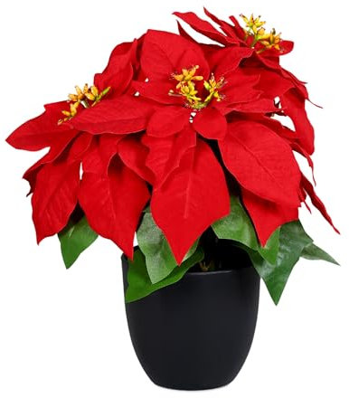 Spetebo Künstlicher Weihnachtsstern im schwarzen Topf - 30 cm - Kunstblume Poinsettia in naturgetreuer Nachbildung - Christblume Deko Pflanze Seidenblume Kunstpflanze Winterblume mit samtigen Blüten