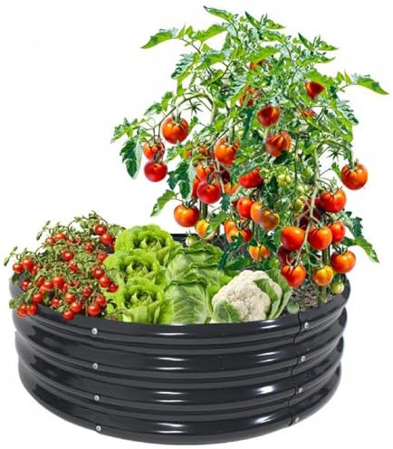 MIKONI Hochbeet Metall Pflanzenbeet Gartenbeet Pflanzkübel Blumenkasten Gemüsebeet Frühbeet Pflanzkasten Pflanzen Verzinkter Stahl Gemüse, Blumen, Sukkulenten,Kräuter (90 x 90 x 30cm -RUND)