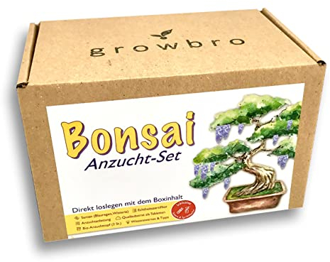 Bonsai Anzuchtset von growbro - ZÜCHTE DEINEN EIGENEN BONSAI BRO, Bonsai Starter Kit inkl. Samen, Sprühflasche, uvm.