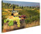 islandburner Leinwandbild, Weißwein aus Fass in einem Weinberg in Chianti Toskana, Italien, moderne Bilder, Dekoration
