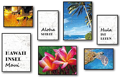 TypeStoff Poster-Set – Hawaii – Kunstdrucke ohne Rahmen - Typografie-Bilder auf hochwertigem Karton - Plakat, Druck, Print, Wandbild zum Thema Aloha und Maui - PS-00800