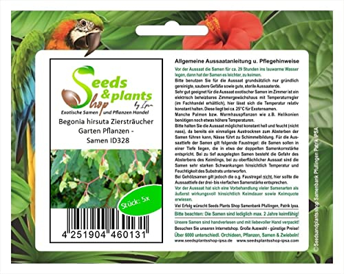 Pcs - 5x Begonia Hirsuta Fleurs Jardin Plantes - Graines ID328 - Seeds & Plants Shop by Ipsa