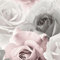 Rhoda Rose Pink Wallpaper - Floral Flowers Grey White - Modern Contemporary Glamorous Feature Wall
