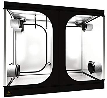 Weedness Grow Box für Indoor Zucht 240x120x200 – Lichtdicht mit hoher Reflektion Zuchtzelt Growschrank Growzelt Zuchtbox Gewächszelt Homebox