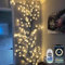 Smart Home Decor Twig Lights: 2.3M 144 LED Willow Vine Twig Wall Lights with App & Remote Control, Music Sync - DIY Dimmable Timmer Willow Rree Light Decorations for Bedroom Wall Christmas- Warm White