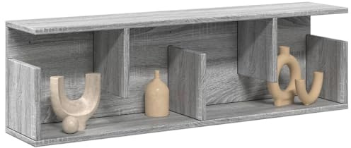 Ziaphsol Wandschrank 100x20x30 cm, Grau Sonoma Holzwerkstoff, schwebende Regale für Wand, platzsparende Aufbewahrung, Pflegeleichte Hängevitrine