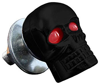 2 Stück Schrauben Totenkopf schwarz für Nummernschild Schrauben Motorrad