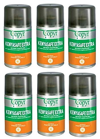 Copyr Kenyasafe Extra - Insetticida Antizanzare, Mosche e Insetti Volanti, 48 Bombole 250ml, Piretro Insetticida Biologico Repellente Zanzare Professionale Casa, Ho.Re.Ca., Settore Pubblico, Sanitario