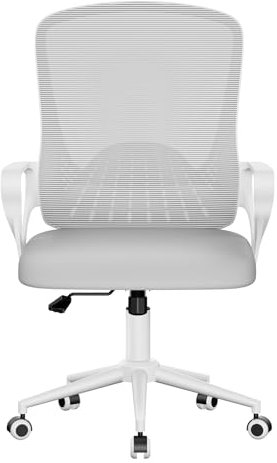 naspaluro Sedia da Ufficio Ergonomica Braccioli Fissi, Poltrona Ufficio Supporto Lombare Unico, Cuscino Imbottito, Sedia da Ufficio Regolabile in Altezza, Per Casa Ufficio, Studio,Gray