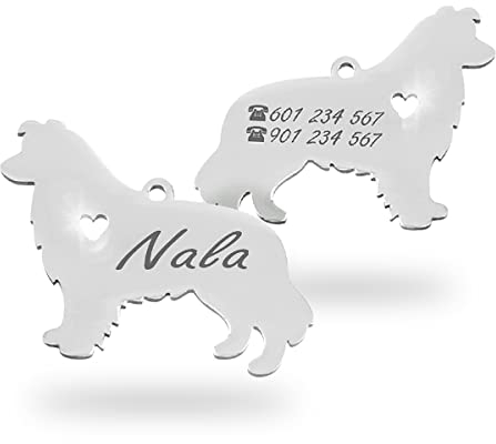 Chapa para Perro y Gato Personalizada - Ideal para Grabar su Nombre y tu Contacto - Placa Identificativa Hecha de Acero Inoxidable - Forma de Shetland - Regalos Market