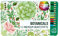 Colorful Moments Designdose mit Buntstiften - Botanicals: 12 Buntstiften in Grüntönen und einzelnen Kontrastfarben mit Metalldose