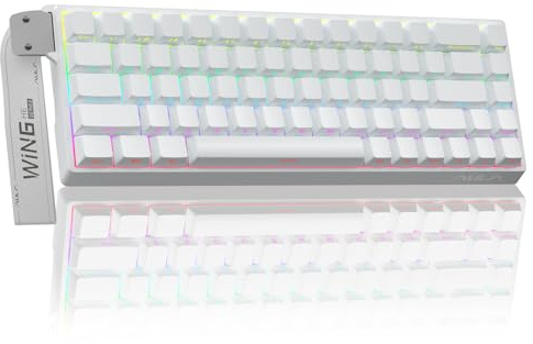 AULA WIN68 HE Hall Effect Gaming Keyboard,Adjustable Actuation Rapid Trigger,0.02mm RT Accuracy,8000Hz,RGB Backlight,USB-C Wired,60% Percent Magnetic Keyboard