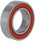 Dt swiss Kugellager-2160065105 Kugellager Silber 15mm