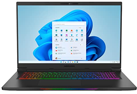 MEDION ERAZER Beast X25 43,9 cm (17,3 Zoll 240Hz) FHD Gaming Notebook (AMD Ryzen 7 5800H, 32GB DDR4 RAM, 1TB PCIe SSD, NVIDIA GeForce RTX 3080 16 GB GDDR6 VRAM, Win 11 Home)