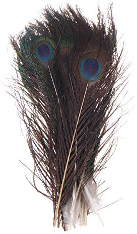 20st Federn Basteln Pbr Hut Gefälschte Federn Kostüm Diy Nf Hut Hauben Hui-hüte Pfauen Dekorative Pfauenfeder Dekoration Pfau Craft Natürlich Stirnband