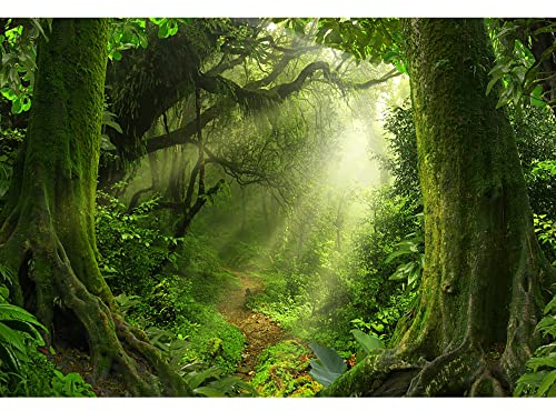 Aoihrraan 3,5x2,5m Frühling Verzaubert Wald Hintergrund Dschungel Regenwald alt Bäume Sonnenschein natürlich Landschaft Fotografie Hintergrund Baby Dusche Geburtstag Party Kind Erwachsener Foto Prop