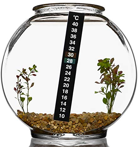 Nicoone Termometro per acquario termometro adesivo digitale misuratore di temperatura adesivo