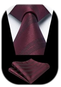 HISDERN Burgundisch Herren Krawatte Formell Streifen Krawatte mit Einstecktuch Set Hochzeit Krawatten and Taschentuch