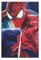 Spider Movie Poster Man Leinwand Poster Wandkunst Dekordruck Bild Gemälde Für Wohnzimmer Schlafzimmer Dekoration Unframe: 12x18inch(30x45cm)