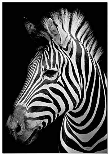 Panorama Tableau Zèbre 50x70cm - Impression sur Toile avec Châssis en Bois - Affiche Animaux