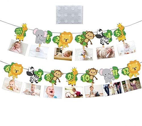 Ericetion 1st Jungle Animal Photo Banner Wild One Monthly Photo Banner First Birthday Banner Monthly Photo Banner Zoo Jungle Banner