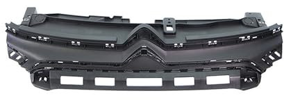 Ras Ricambi Auto Store Griglia Radiatore compatibile con Citroen C3 Dal 10-2020 - Alta Qualità