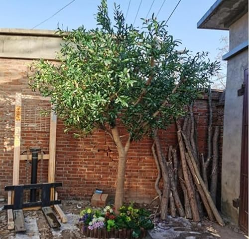 Großer hoher künstlicher Olivenbaum, künstlicher Olivenbaum mit realistischer Textur, künstliche Pflanzen, künstliche Pflanzen, Sträucher for drinnen und draußen, Garten, Heimdekoration ( Size : 180cm