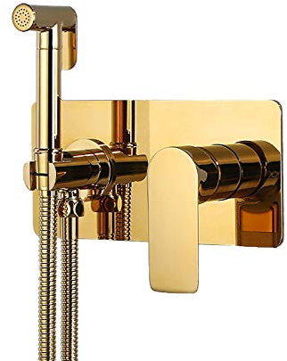 Titan-Windel-Sprühset für heißes und kaltes Wasser, Handbidet-Sprühset, Toilettenset, Toiletten-Sprühset aus Messing mit Einzelgriff, an der Wand montiertes Badezimmer-Toilettenset mit Duschschlauch
