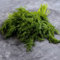 300 Pcs Dill Samen Mehrjährig Winterhart - Hochbeet Samen, Kräutergarten Balkon Dillsamen Kaufen, Nachhaltige Geschenke, Gemüsepflanzen Kräuter, Gemüsesamen Winterhart Kräutergarten