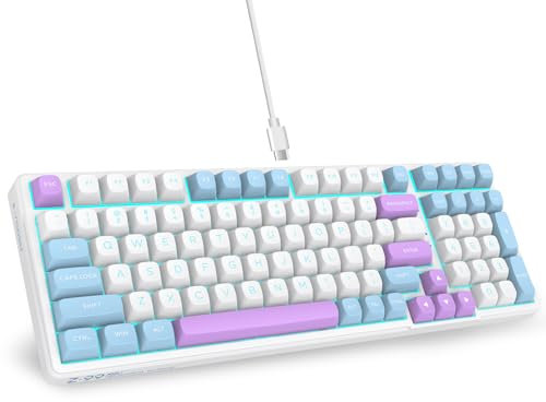 E-Yooso Z99 96% Creamy Mechanische Tastatur, QWERTY,Verkabelt, Gasket-Struktur mit Schalldämpfendem Schaum,Vorgeölte Lineare Switches, LED-Beleuchtung, 99 Tasten Custom Gaming Tastatur,Weiß/Blau