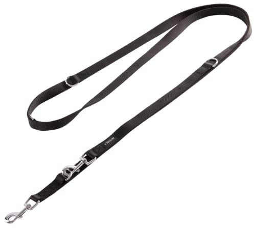 vitazoo Hundeleine - 3mx2,5cm - Nylon-Graphit Leine mit Karabinern für Kleine, Mittelgroße und Große Hunde - Verstellbare Führleine mit 4 Verschiedenen Längen in Schwarz für Ihren Hund