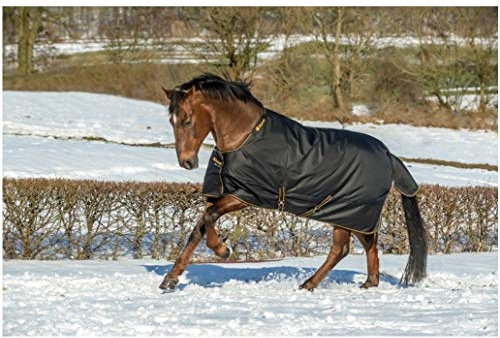 Bucas Winterdecke Extra 300g Füllung Irish Turnout Black/Gold 135cm + Hufkratzer Reiterladen24.de