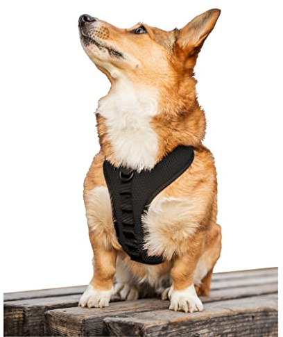 K9 Sport Sack Hundegeschirr, bestickt, Größe L, Anthrazit-Schwarz