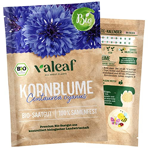 valeaf BIO Wilde Blumen Samen I Premium Wildblumensamen zur Blumen Anzucht I Bunte Wildblumenwiese für Garten, Balkon I samenfestes Blumen Saatgut I Pflanzensamen (Kornblume blau (BIO))
