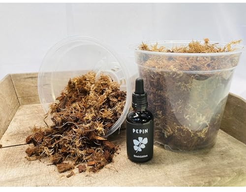 GROW-WIN Kit di rinvaso per orchidee, 2 vasi da 15 cm, substrato con speigna, fertilizzante a base di alghe