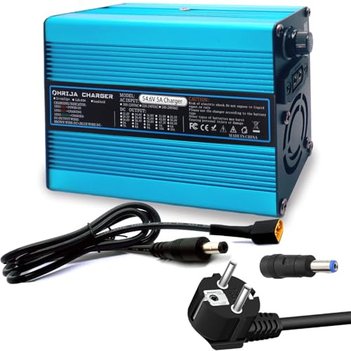 Chargeur de Batterie 54,6 V 5 A pour Batterie Lithium 48 V, Alimentation 48 V 5 A, extérieur Bleu avec connecteur CC 5,5 x 2,5 mm