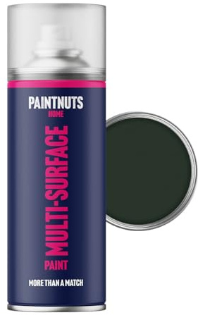 Paintnuts Dark Green (RAL-6009) Rapid Dry Metal Paint, Gloss Finish 400ml Aerosol