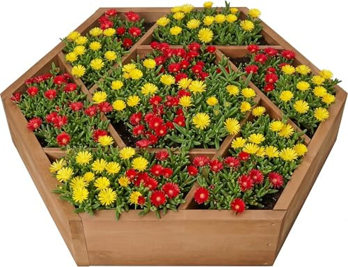 needs&wants® Multi Hochbeet mit 7 Pflanzkästen sechseckig aus Holz für Garten Balkon Terrasse, Kräuterbeet-Rahmen Pflanzbeet Blumenbeet niedrig, 100 x 100 x 18 cm, braun