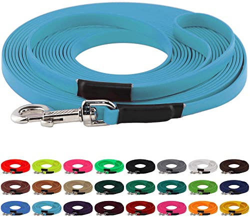 LENNIE BioThane Schleppleine, 9mm, Hunde 5-15kg, 5m lang, mit Handschlaufe, Cyan/Türkis, genäht