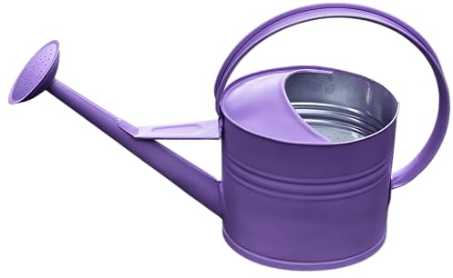 Arrosoir en zinc coloré 10 l - Arrosoir en métal - Couleur : violet