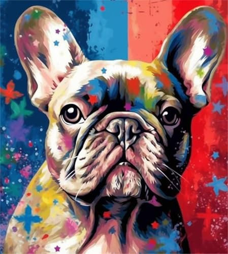 KANGBAWA Peinture par Numero Adulte Bouledogue français avec rose (3) DIY Peinture à l'huile Numéros Toile Paint by Numbers Peindre par Nombre Kits sans Cadre 40x50cm