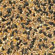 10 kg Johnston & Jeff Select Wild Bird Food | Premium High Energy Seed Mix with Black Oil Sunflower Seeds | All-Season Garden Bird Feed for Feeders & Tables