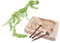 Simba 104342403 - Glow in The Dark T-Rex Ausgrabungsset, Skelett zum Ausgraben und Zusammenstecken, Werkzeuge inklusive