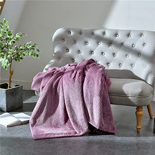 WYJHNLBEDC Hundedecke Flauschig Waschbar, Fleecedecke Klein, Kuscheldecke Flauschig Warme Decke, Tagesdecke/Bettüberwurf/Sofaüberwurf Hund Decke, Katzendecke für Katzen 45x65cm Helles Lila
