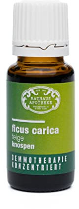 RATHAUS APOTHEKE WIEN Extrait de bourgeons concentré - Gemmothérapie - Ficus carica - Le figuier - 15 ml