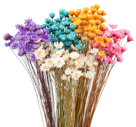 320 steli di fiori secchi brasiliani, piccola stella, margherita, fiori secchi, mini bouquet di camomilla, per fai da te, decorazione per la casa, regalo (colori assortiti)
