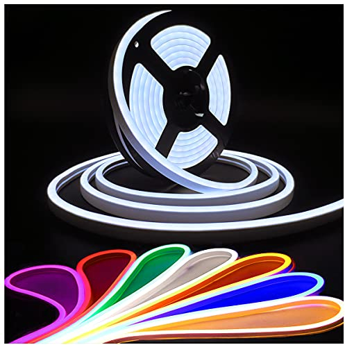 Tesfish RGB Neon LED Streifen Licht, Mehrfarbige Band DC 12V 5M 96 LEDs/M Insgesamt 480 LEDs Flexibel Lichtleisten für Schlafzimmer, Bar, Spielzimmer, Geburtstag, Weihnachtsfeier