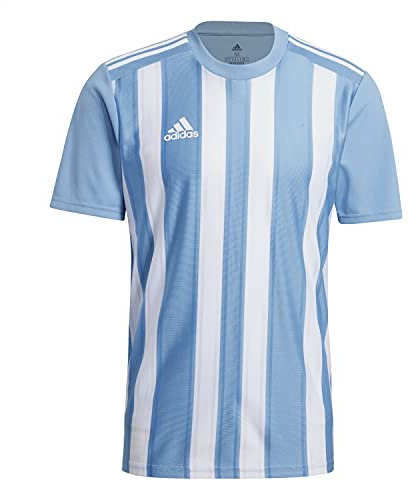 adidas Herren Striped 21 T Shirt, Tmlgbl/White, S EU